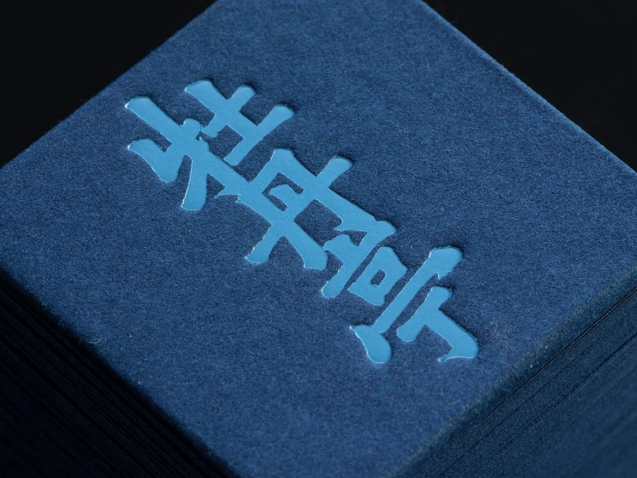 AGI Open 2023 Qian Jiang Project 3 RGB