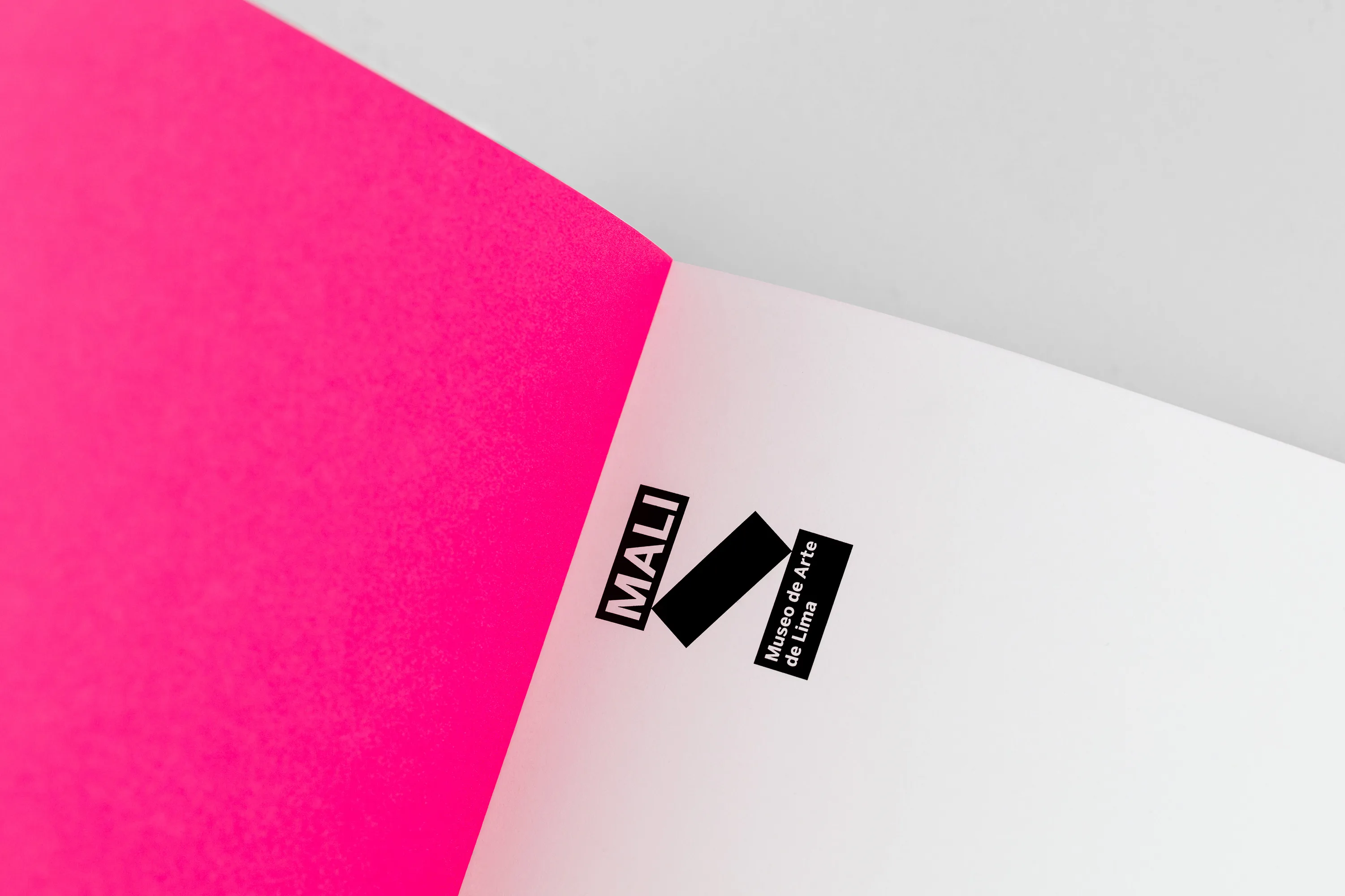 AGI Open 2023 Veronica Majluf Project 9 RGB