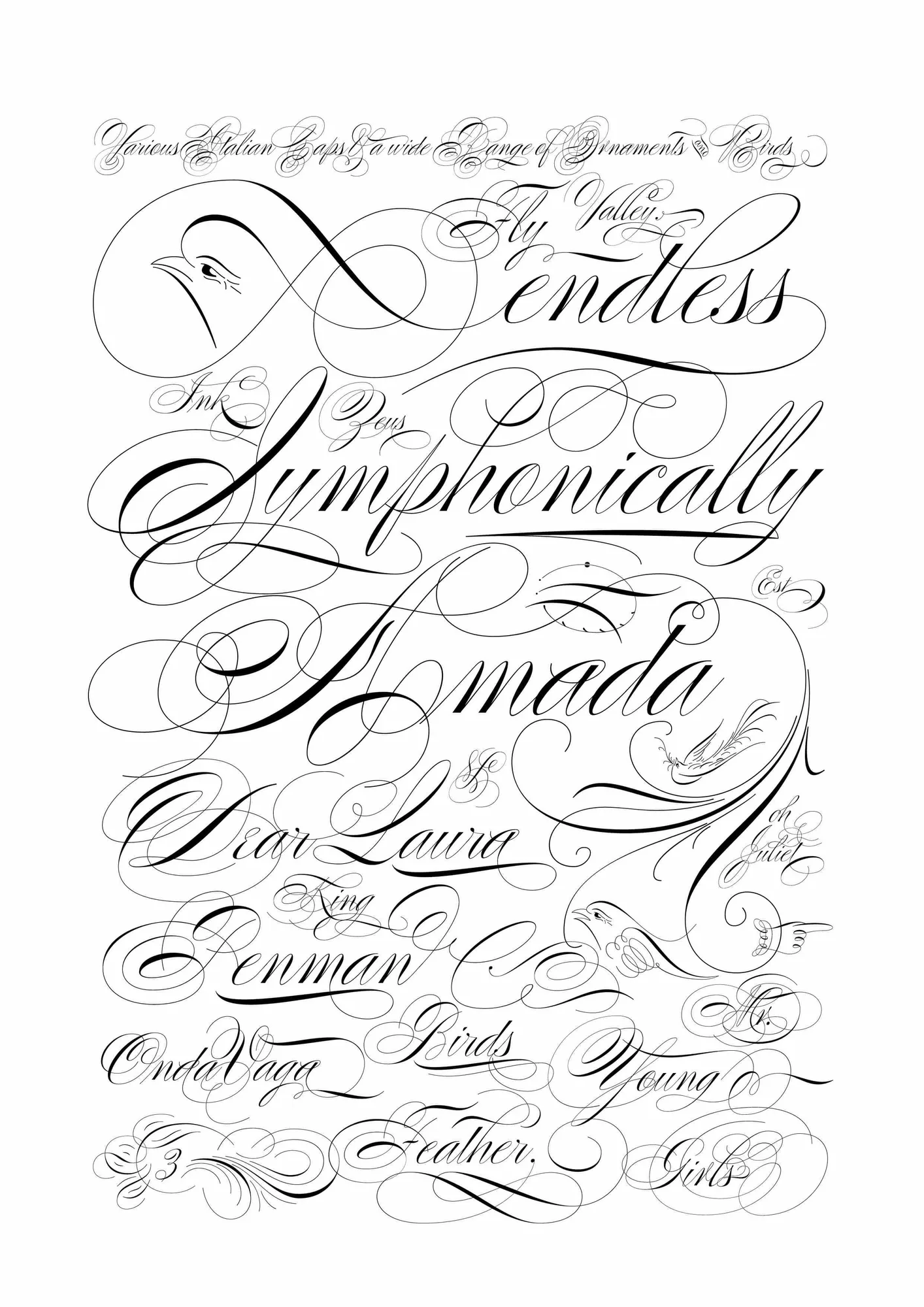 AGI Open 2023 Alejandro Paul Project 7 RGB