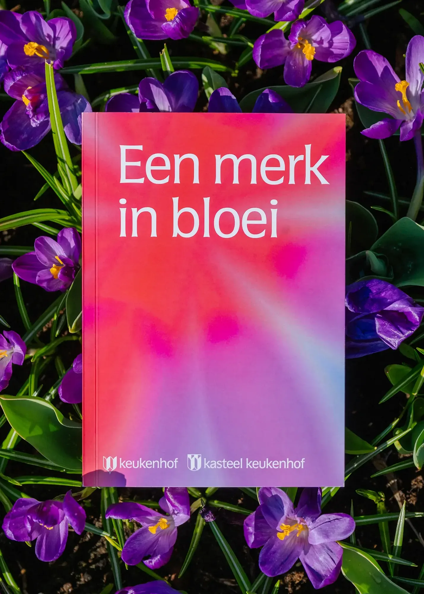 Thonik keukenhof4 3200x