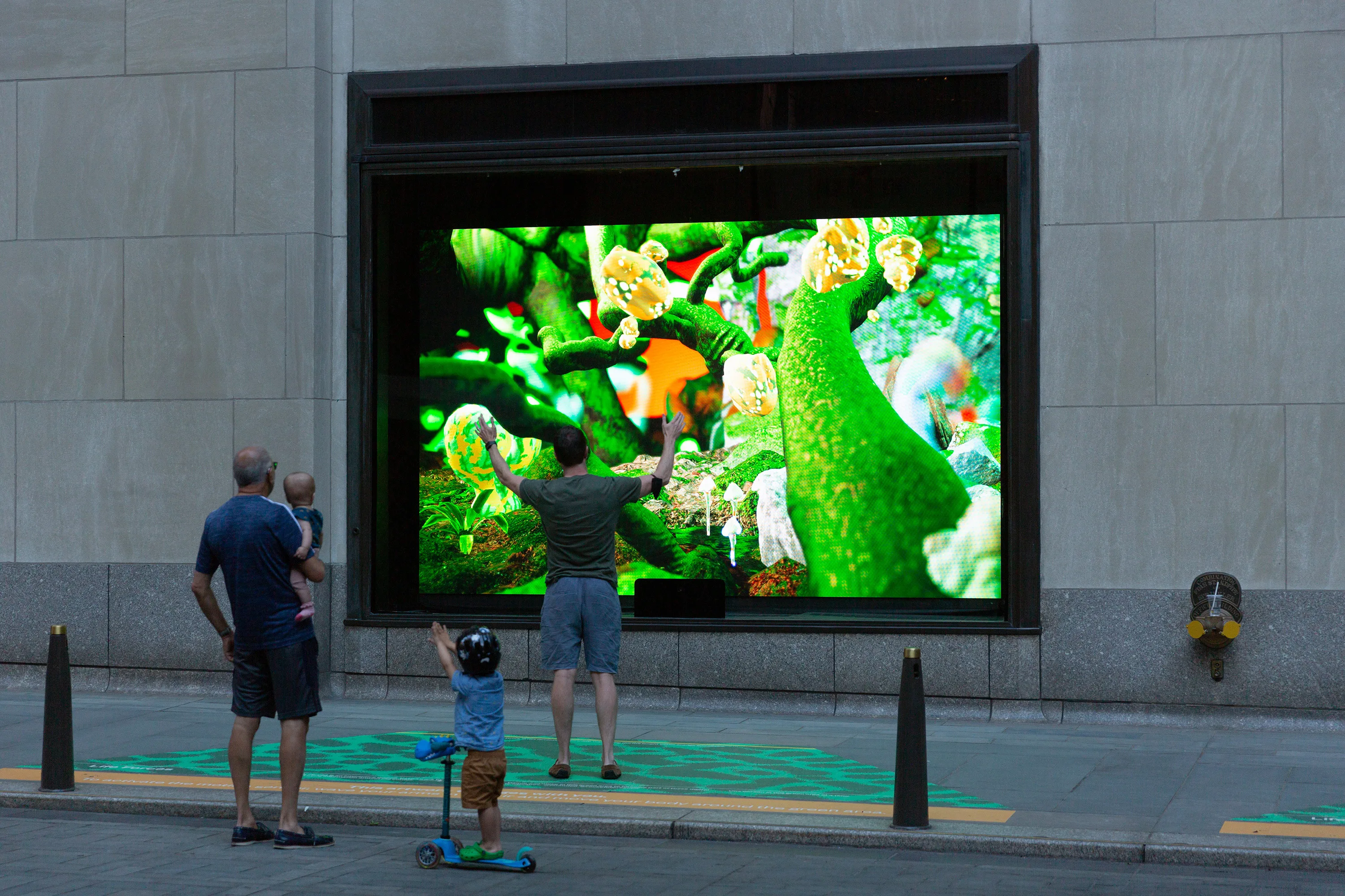 Tin Ed Life Forces Rock 00002