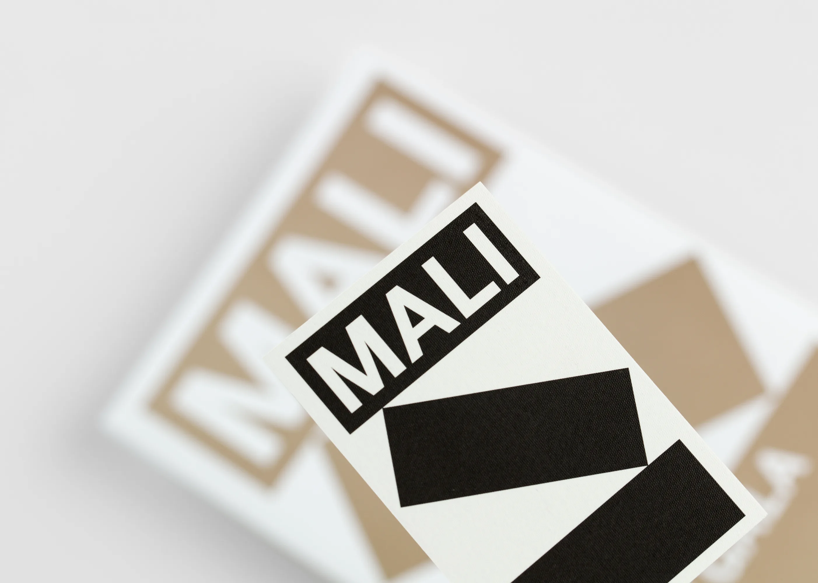 AGI Open 2023 Veronica Majluf Project 8 RGB