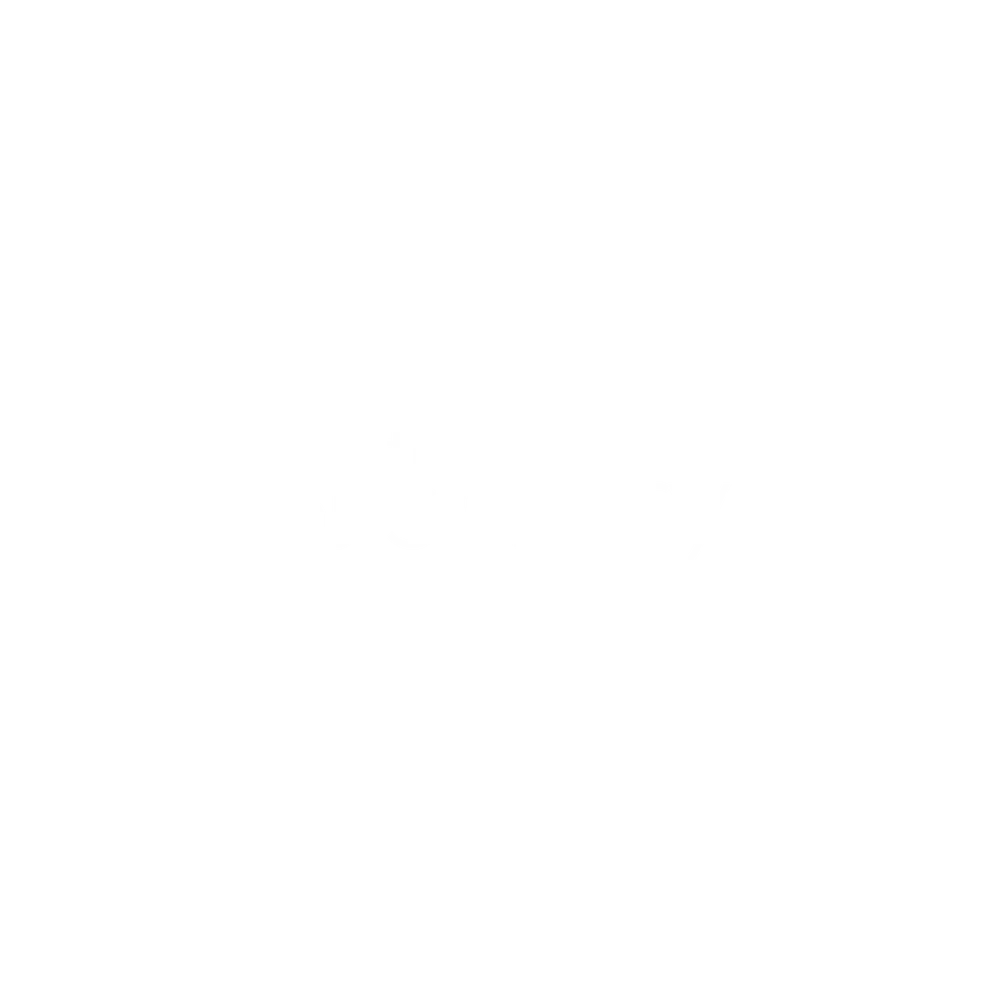 The Sentry