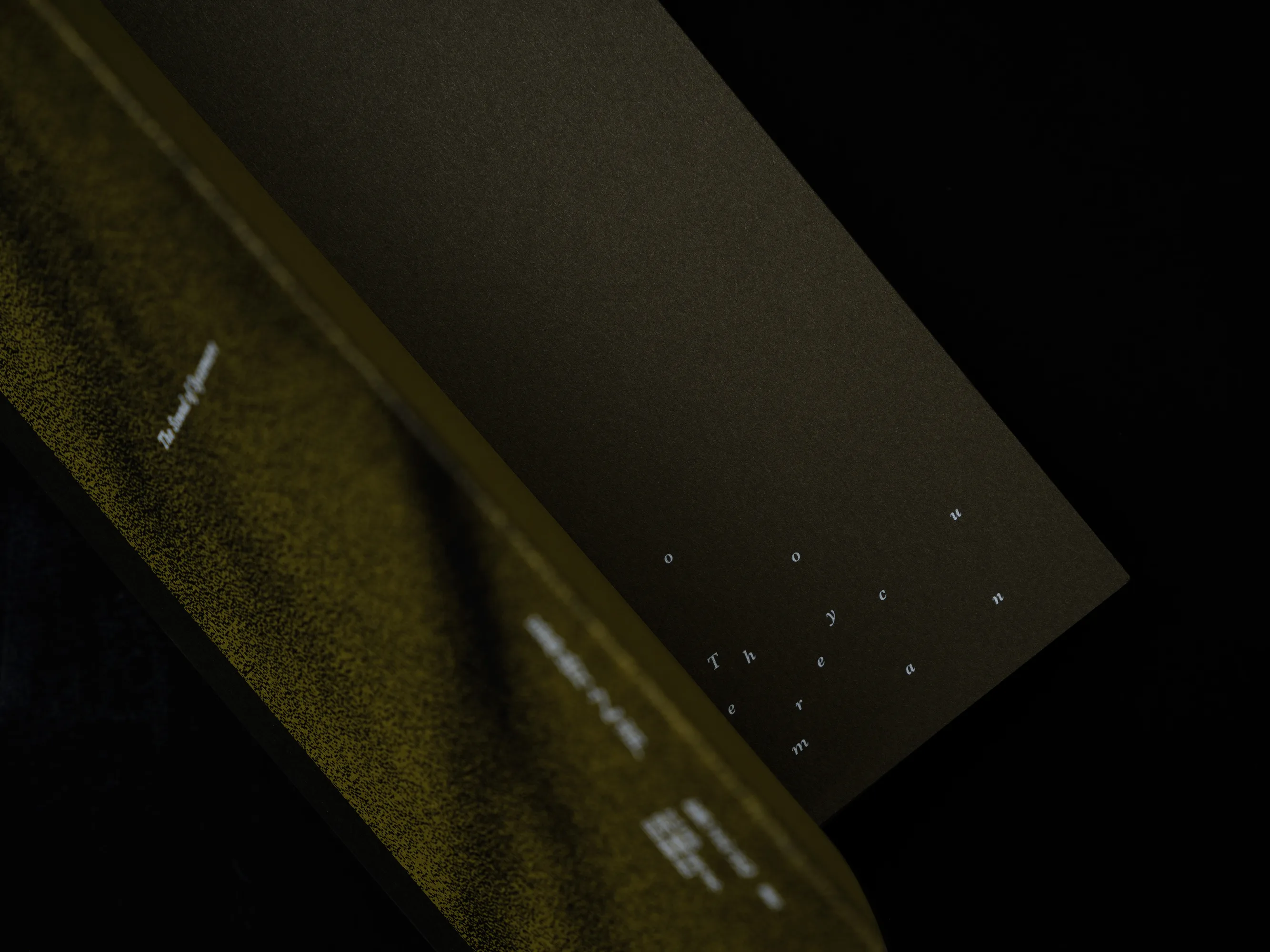 The Sound of Sycamore 2