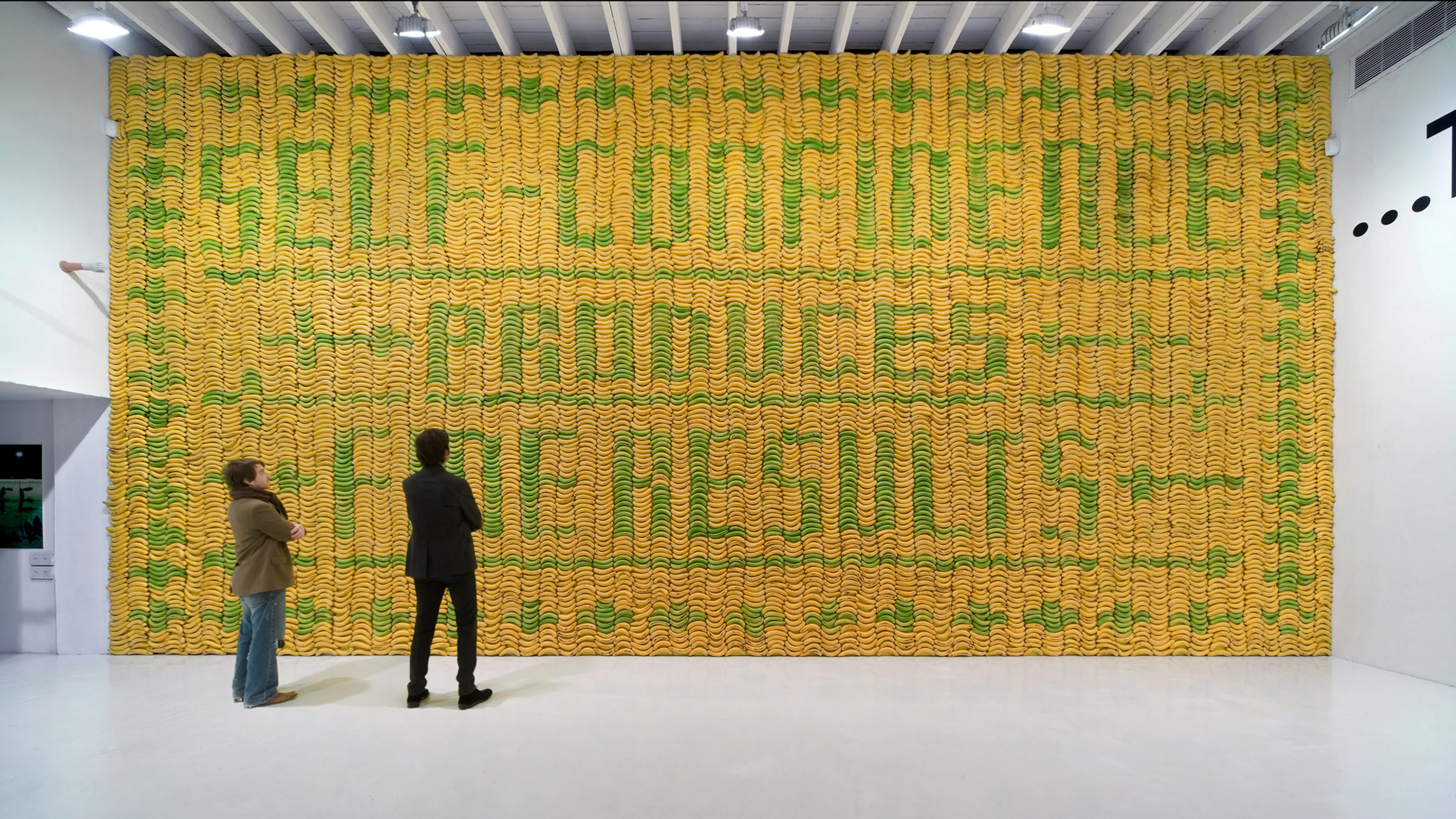 Deitch Project Banana Wall 01