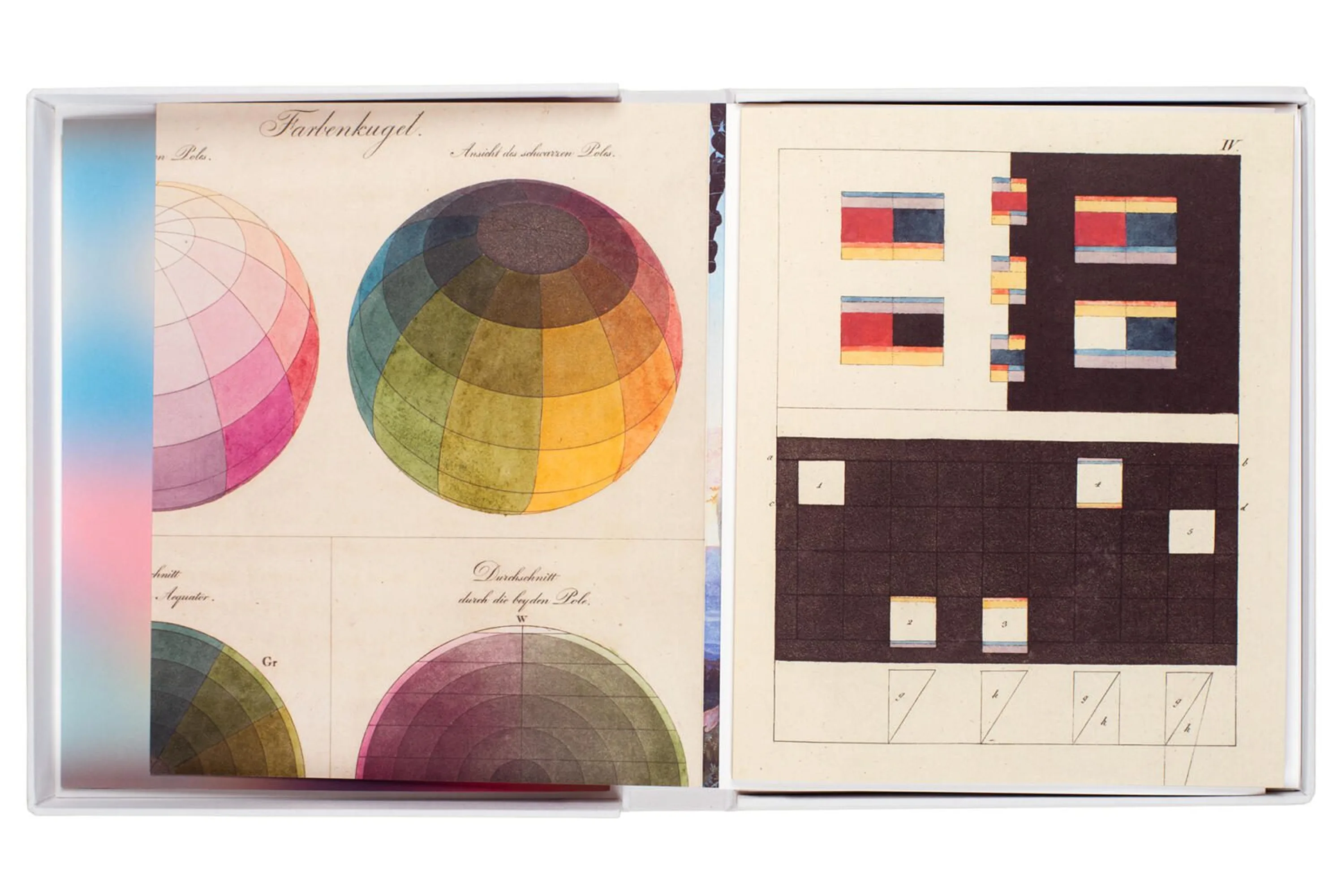 Loraine W Ild you never see the same colour twice 2