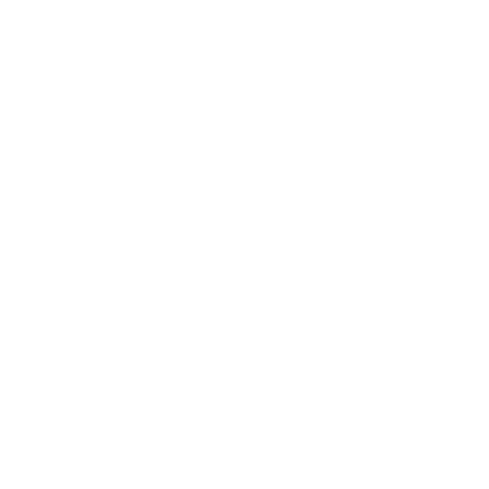 Titan Hoang Long