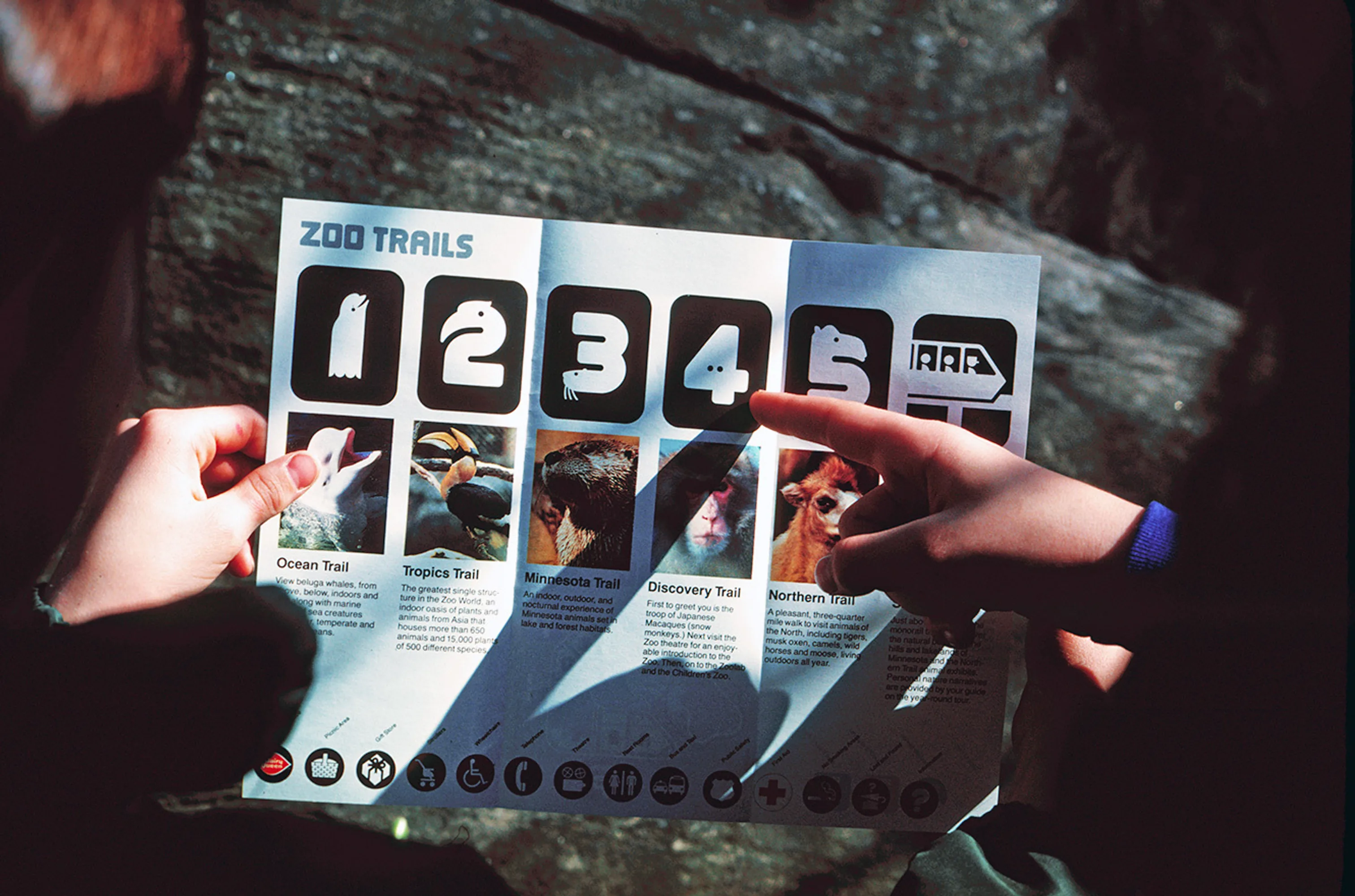 B131dd946604dcabe8451f14f901cc34 lance wyman minnesota zoo wayfinding 05