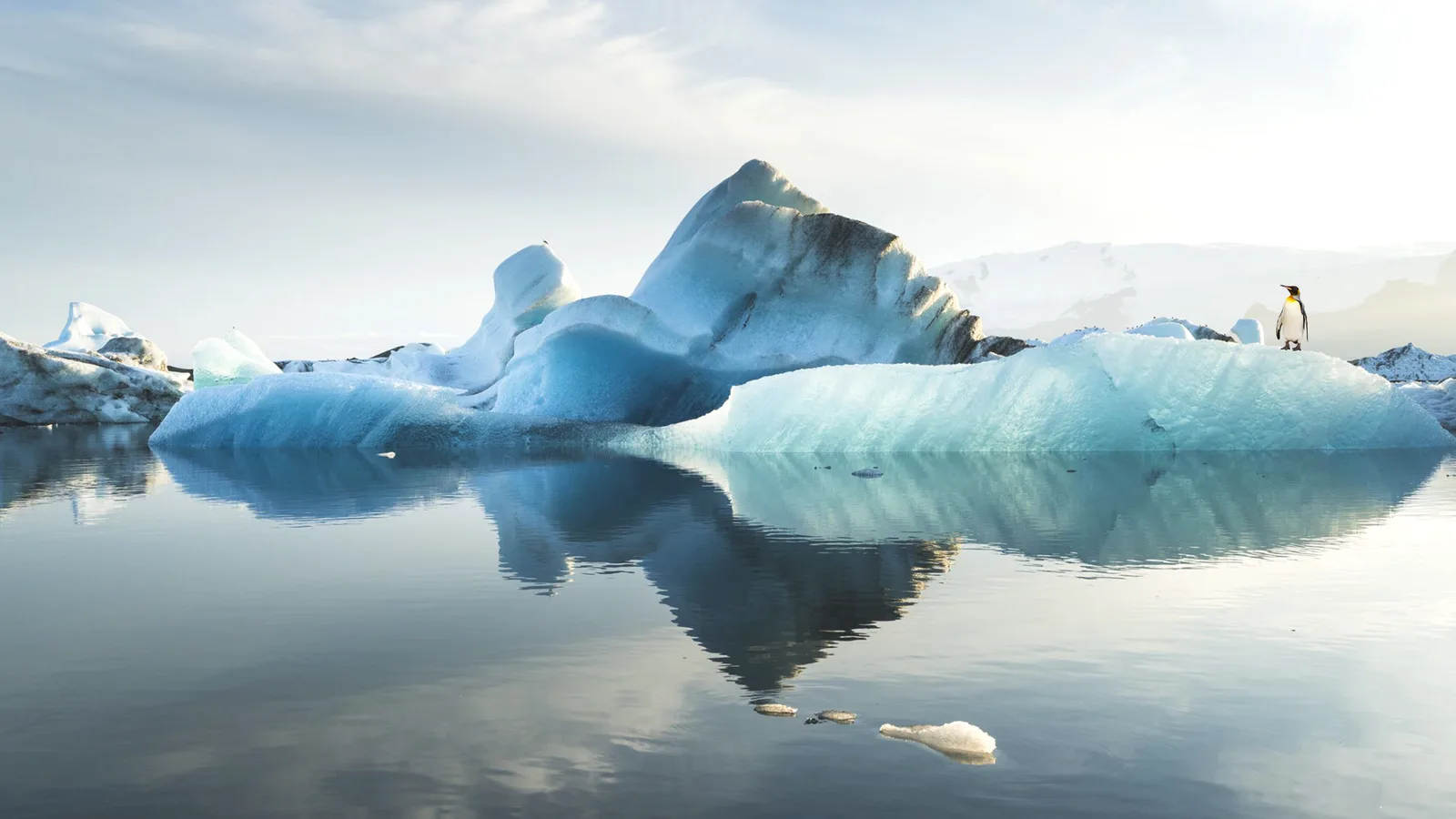 AGI Open Hero Image Open Website