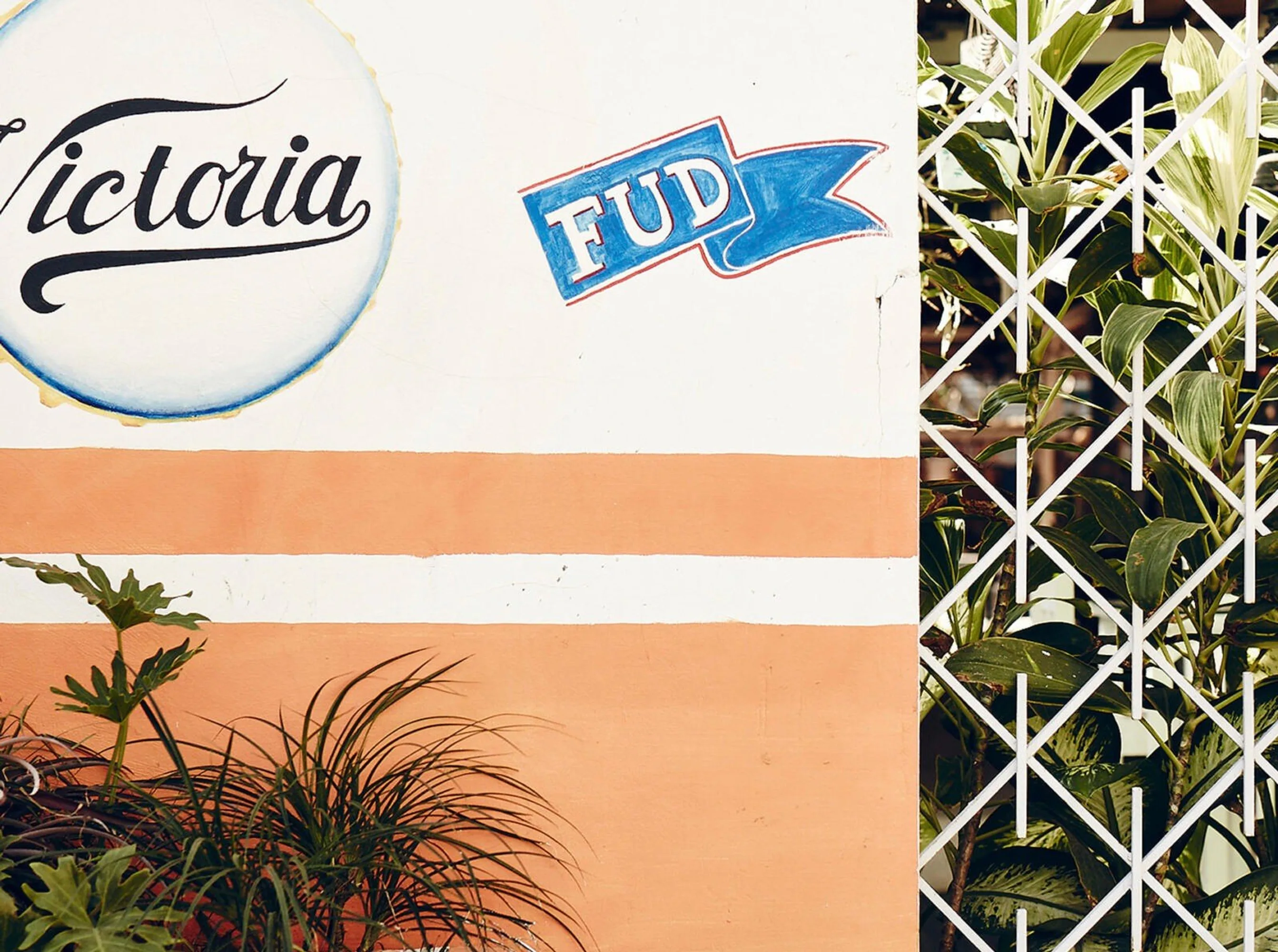 AGI Open 2023 James Brown Project 7