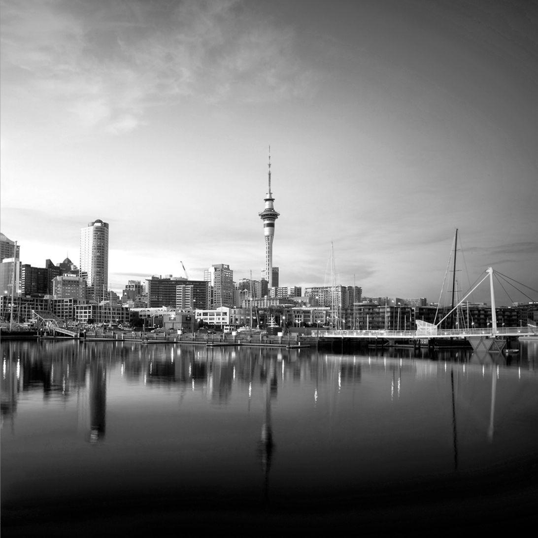 NZTE Skyline from Wynyard 1080x1080px RGB BW jpg 1092x1092 q80 upscale