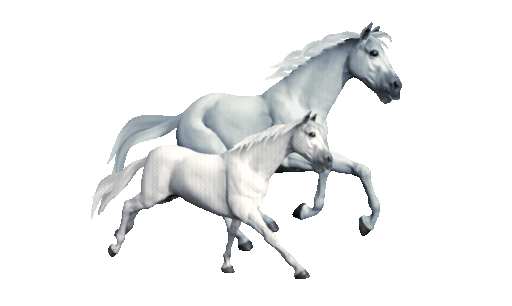 Placidplace horse 17734 512